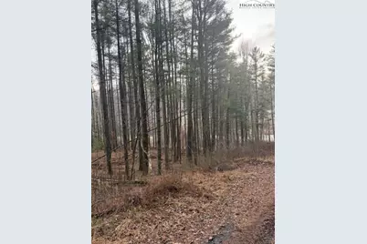 Tbd Lot 468 Skyline Road, West Jefferson, NC 28694 - Photo 1