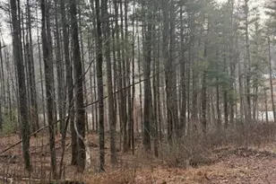 Tbd Lot 468 Skyline Rd, West Jefferson, NC 28694 - Photo 1