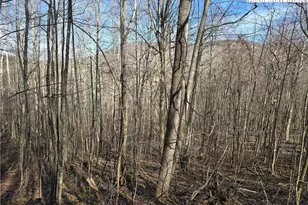 Lot 22 Bluff Canyon Dr, West Jefferson, NC 28684 - Photo 1