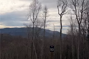 Lot 143 Old Forge Trail, Elk Park, NC 28622 - Photo 1