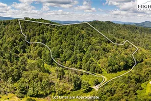 Tbd Georges Gap Rd, Vilas, NC 28692 - Photo 1