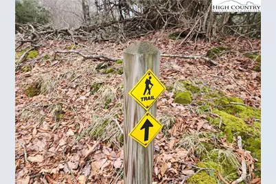 Tbd Gumtree Road, Beech Mountain, NC 28604 - Photo 1