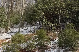 301 Jackpine Rd, Beech Mountain, NC 28604 - Photo 1