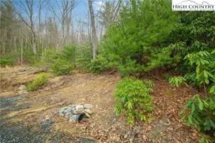 288 Poplar Dr, Beech Mountain, NC 28604 - Photo 1