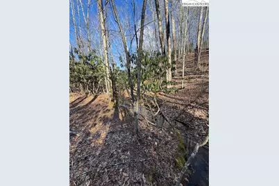 Tbd Bald Mountain Road, West Jefferson, NC 28694 - Photo 1