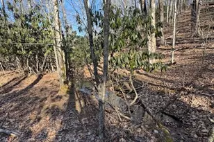 Tbd Bald Mountain Rd, West Jefferson, NC 28694 - Photo 1