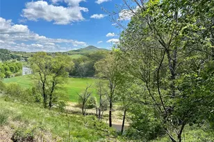 Tbd River Knoll Dr, Jefferson, NC 28640 - Photo 1