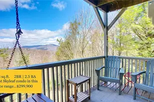 367 Skyleaf Dr, Sugar Mountain, NC 28604 - Photo 1