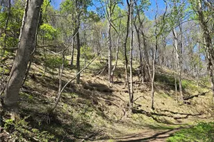 Tbd Round Knob Ridge Rd, West Jefferson, NC 28694 - Photo 1