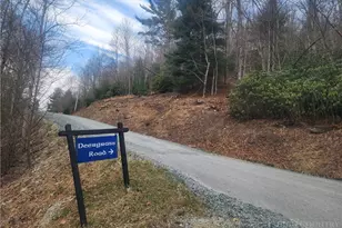 100 Deergrass Rd, Beech Mountain, NC 28604 - Photo 1