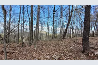 123/126 W Blueberry Lane, Beech Mountain, NC 28604 - Photo 1
