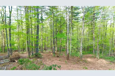 Lot 15 Walden Lane, West Jefferson, NC 28694 - Photo 1