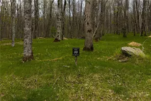 Es-88 Lands End Trail, Beech Mountain, NC 28604 - Photo 1