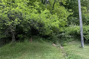 Tbd Ben Bolen Rd, Creston, NC 28615 - Photo 1