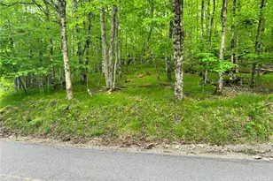 146 Hornbeam Rd, Beech Mountain, NC 28604 - Photo 1