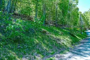 241 Lakeledge Rd, Beech Mountain, NC 28604 - Photo 1