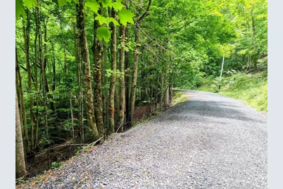 139 Raccoon Road, Beech Mountain, NC 28604 - Photo 1