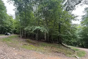 139 Red Fox Ln, Beech Mountain, NC 28604 - Photo 1