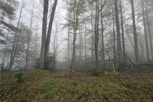 Lot 115R Autumn Blaze Trail, Blowing Rock, NC 28605 - Photo 1
