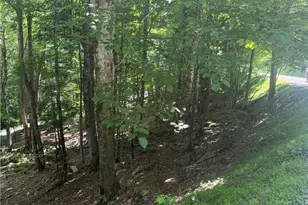 200 Wild Daisy Rd, Beech Mountain, NC 28604 - Photo 1