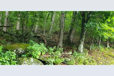 Tbd Thorncliff Drive, Seven Devils, NC 28601 - Photo 1