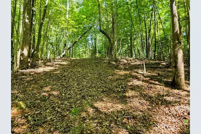 Lot 2B Brightwood Trail, Deep Gap, NC 28618 - Photo 1