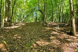 Lot 2B Brightwood Trail, Deep Gap, NC 28618 - Photo 1