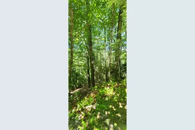 Tbd River Front Ridge Drive, Jefferson, NC 28640 - Photo 1