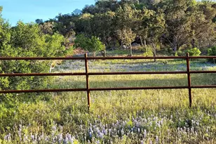 0000 W Fm 2147 Lot 1, Cottonwood Shores, TX 78657 - Photo 18