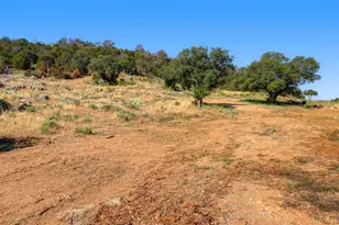 0000 Duchess Dell Lot 5B, Cottonwood Shores, TX 78657 - Photo 4