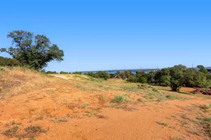 0000 Duchess Dell Lot 5B, Cottonwood Shores, TX 78657 - Photo 10