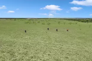 Tract 1 Cr 207, Burnet, TX 78611 - Photo 8