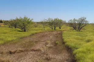 Tract 1 Cr 207, Burnet, TX 78611 - Photo 6