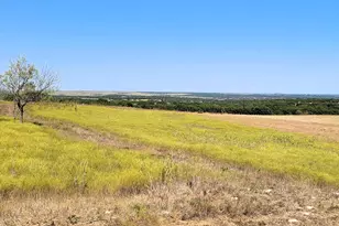 Tract 1 Cr 207, Burnet, TX 78611 - Photo 4