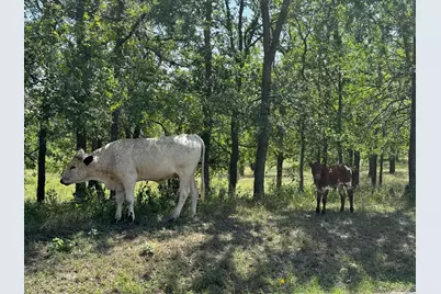 281 Chimney Cove Drive, Marble Falls, TX 78654 - Photo 14