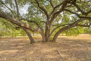 305A Cr 103, Lampasas, TX 76550 - Photo 28