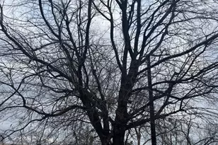 Lot 468 Aspen Ln, Cottonwood Shores, TX 78657 - Photo 4