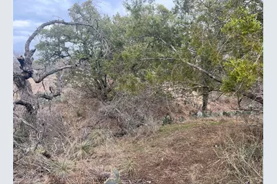 Lot 262 W Briarway Drive, Granite Shoals, TX 78654 - Photo 8