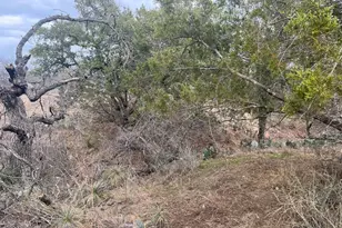 Lot 262 W Briarway Dr, Granite Shoals, TX 78654 - Photo 8