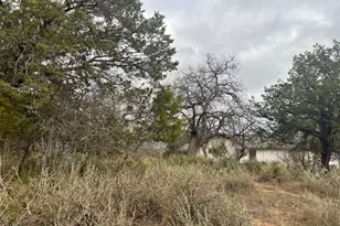 Lot 262 W Briarway Dr, Granite Shoals, TX 78654 - Photo 6