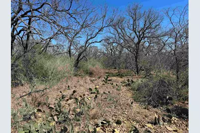 Lot 218 Western Drive, Kingsland, TX 78639 - Photo 8