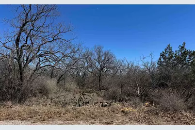 Lot 219 Western Drive, Kingsland, TX 78639 - Photo 2