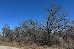 Lot 219 Western Dr, Kingsland, TX 78639 - Photo 1