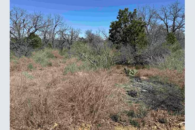 Lot 179 Longmont Drive, Kingsland, TX 78639 - Photo 6