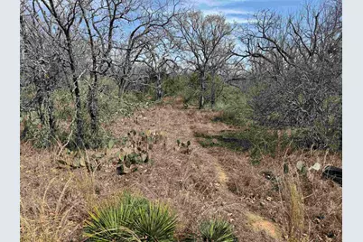 Lot 300-304 Link/Pinemont Drive, Kingsland, TX 78639 - Photo 2
