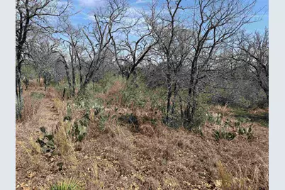 Lot 300-304 Link/Pinemont Drive, Kingsland, TX 78639 - Photo 1