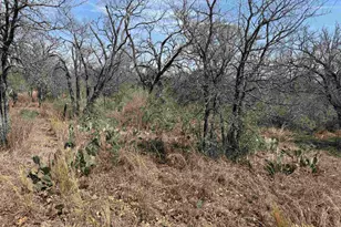 Lot 300-304 Link/Pinemont Dr, Kingsland, TX 78639 - Photo 1