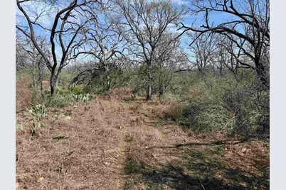Lot 294 Pinemont Drive, Kingsland, TX 78639 - Photo 4