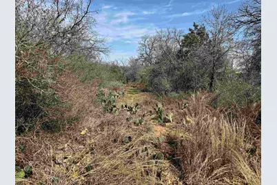 Lot 295 Pinemont Drive, Kingsland, TX 78639 - Photo 2