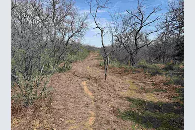 Lot 295 Pinemont Drive, Kingsland, TX 78639 - Photo 4